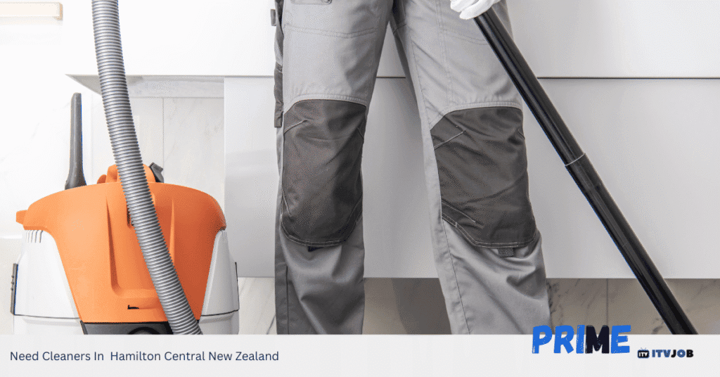 Need Cleaners In Hamilton Central New Zealand