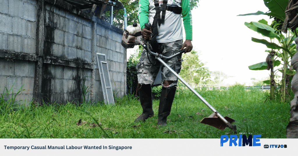 Temporary Casual Manual Labour Wanted In Singapore
