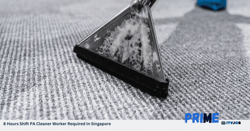 8 Hours Shift PA Cleaner Worker Required In Singapore