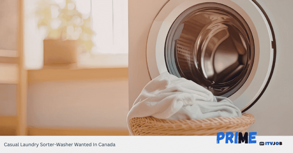 Casual Laundry Sorter​-Washer Wanted In Canada