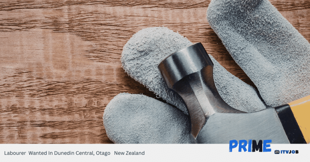 Labourer Wanted In Dunedin Central, Otago New Zealand