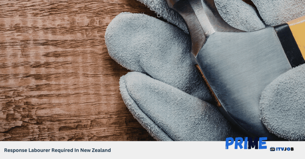 Response Labourer Required In New Zealand