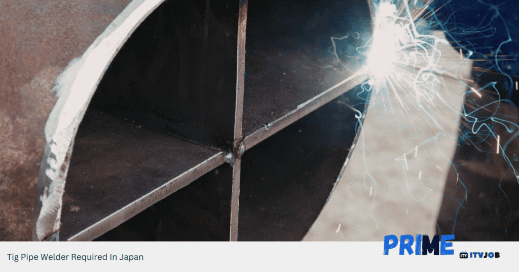 Tig Pipe Welder Required In Japan