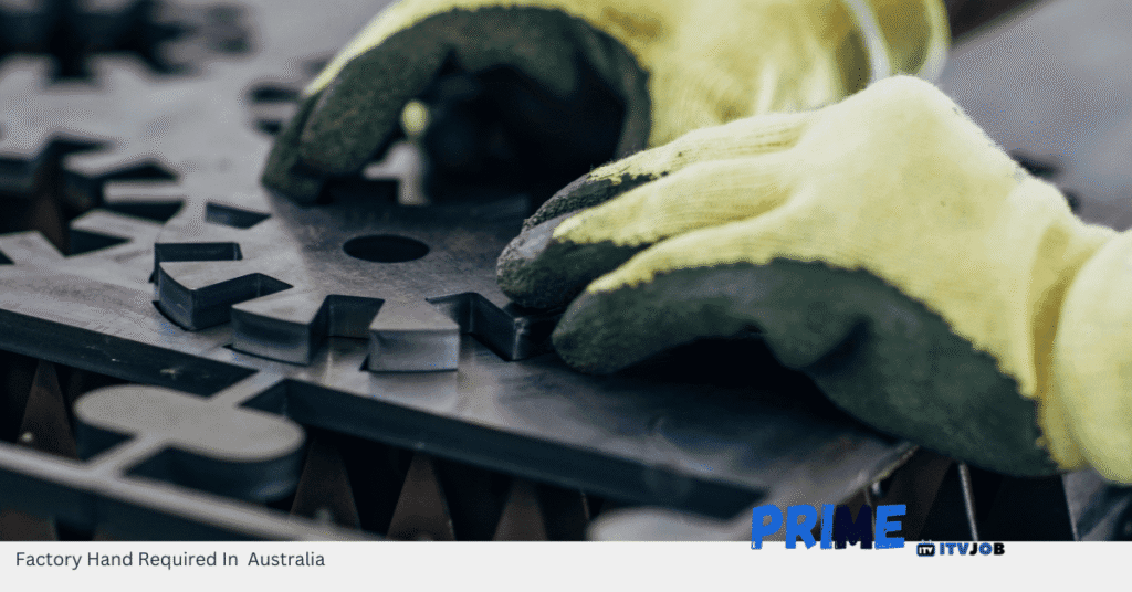 Factory Hand Required In Australia