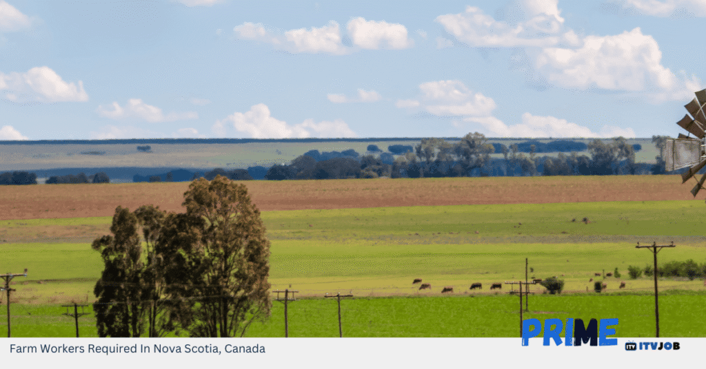 Farm Workers Required In Nova Scotia, Canada