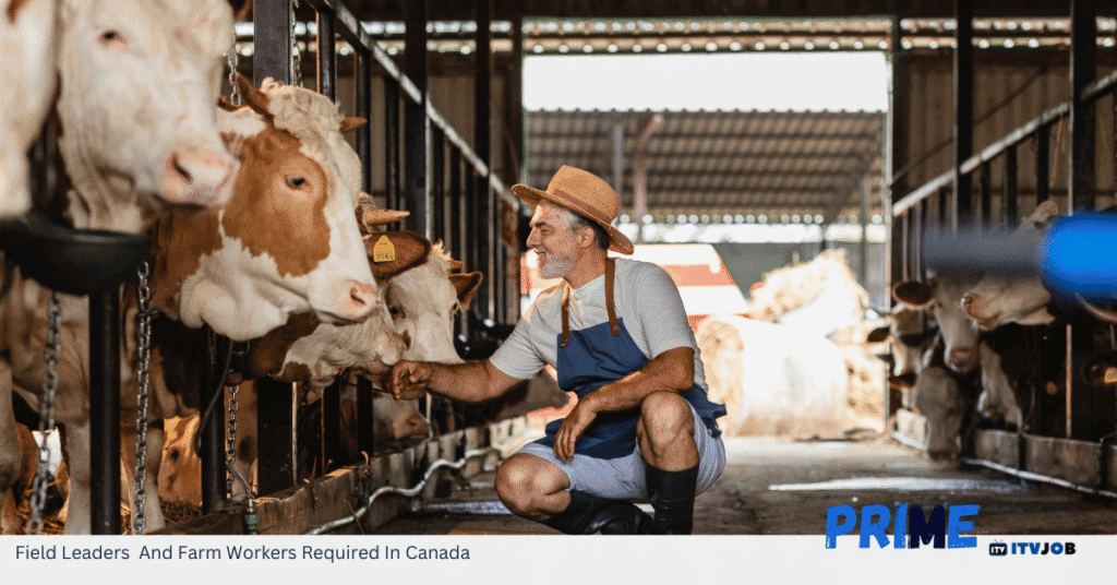 Field Leaders And Farm Workers Required In Canada