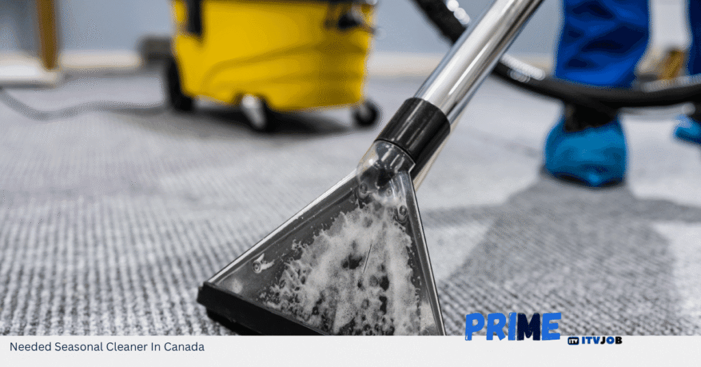 Needed Seasonal Cleaner In Canada