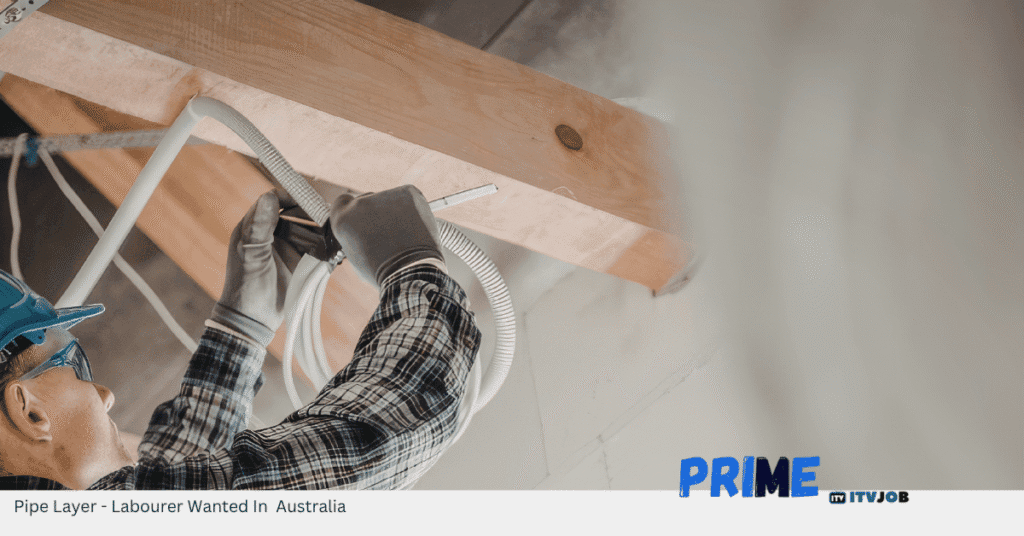 Pipe Layer - Labourer Wanted In Australia