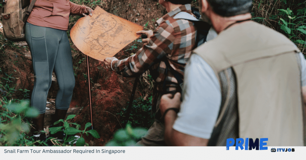 Snail Farm Tour Ambassador Required In Singapore