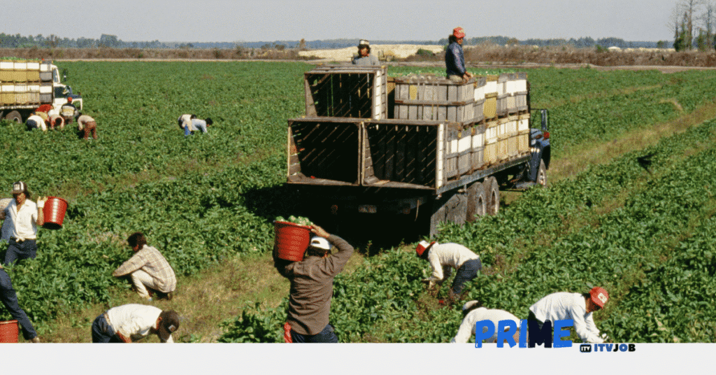 Farm Workers Jobs in Canada